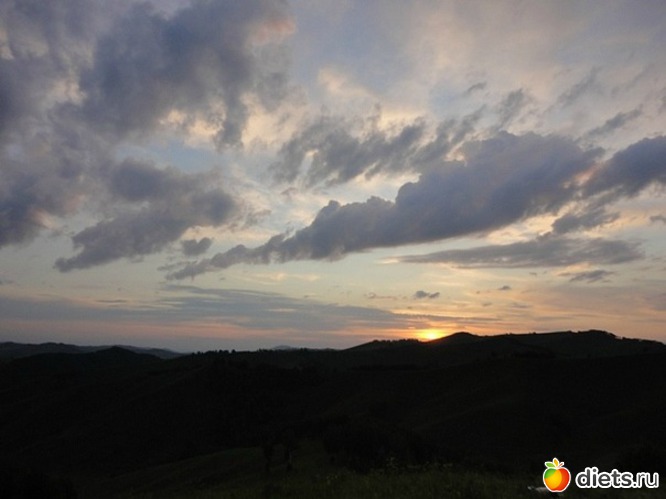 �����, ������: ����� 2011