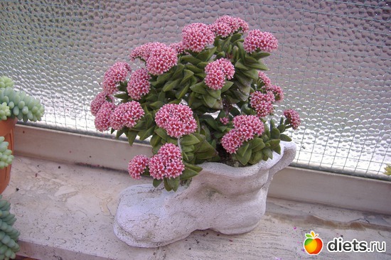 1 ����: ��� �����