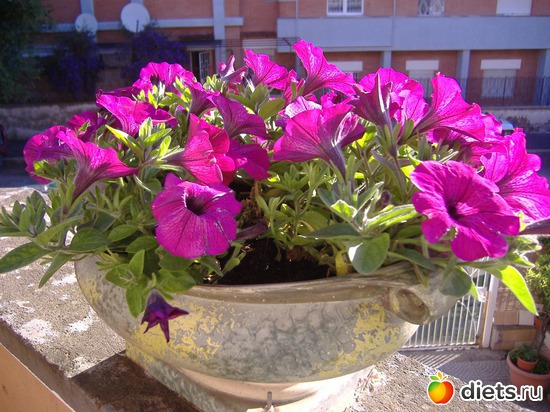 3 ����: ��� �����