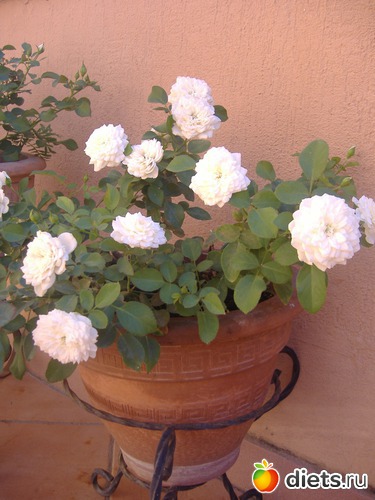 6 ����: ��� �����