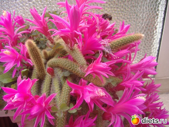 8 ����: ��� �����