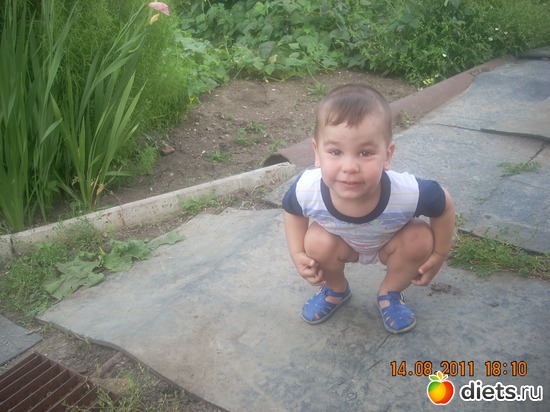 13 ����: ��� �������.