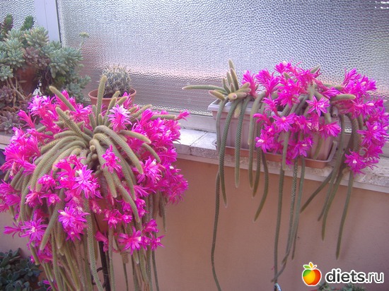 10 ����: ��� �����