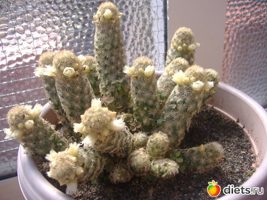 16 ����: ��� �����