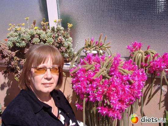 17 ����: ��� �����