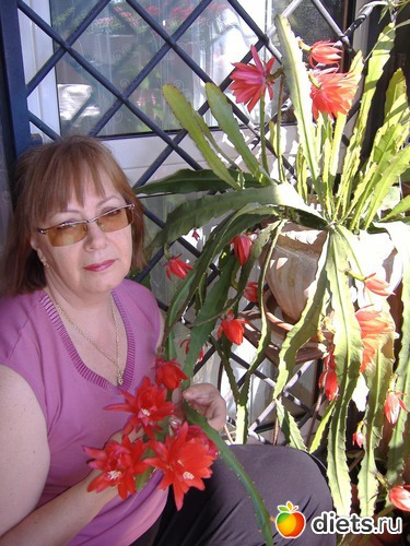 18 ����: ��� �����