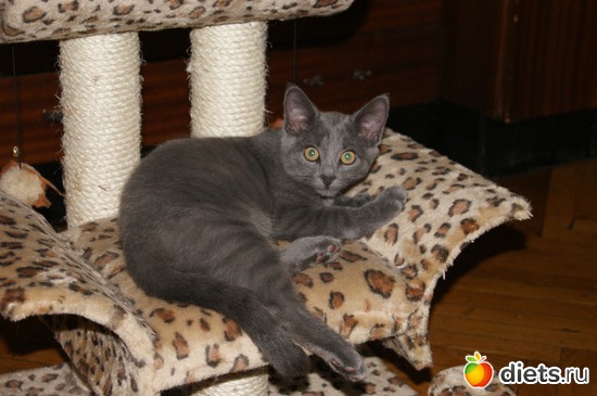 1 ����: ���� �������