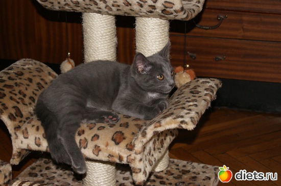 2 ����: ���� �������