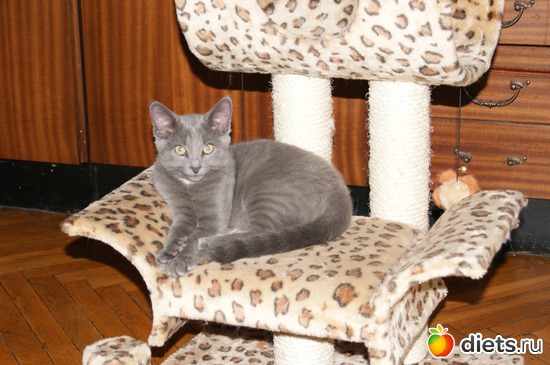 3 ����: ���� �������