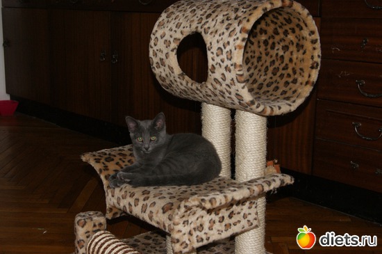 5 ����: ���� �������