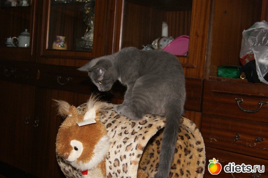 7 ����: ���� �������