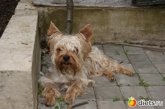 3 ����: ��� �������� �����!