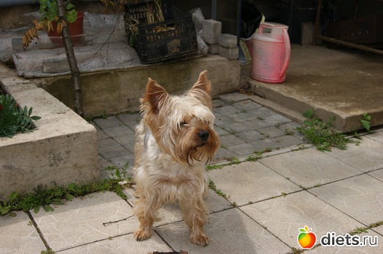 4 ����: ��� �������� �����!