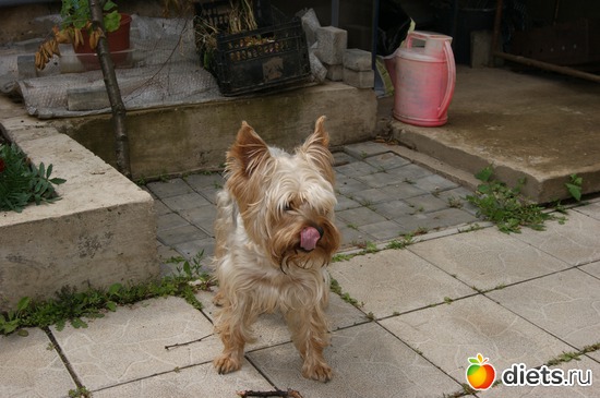 5 ����: ��� �������� �����!