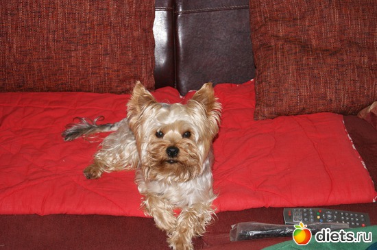 8 ����: ��� �������� �����!