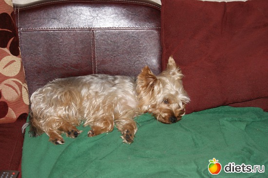 9 ����: ��� �������� �����!