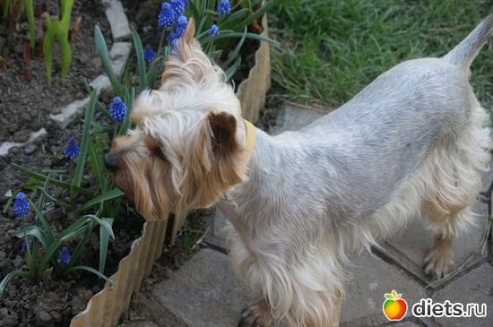 15 ����: ��� �������� �����!