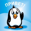 приветствие