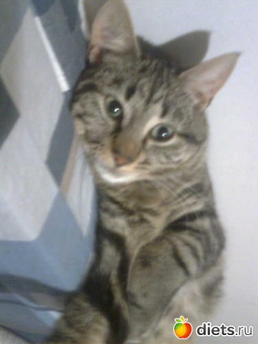 1 ����: ������ ����� �����������������