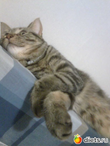 2 ����: ������ ����� �����������������