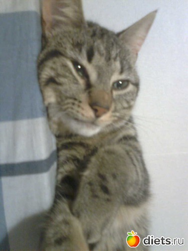 3 ����: ������ ����� �����������������