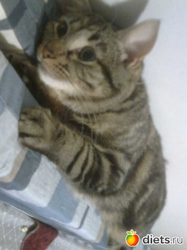 4 ����: ������ ����� �����������������