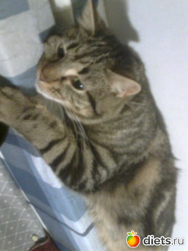 5 ����: ������ ����� �����������������