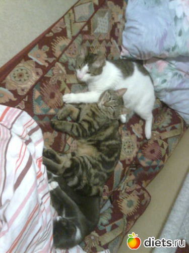 7 ����: ������ ����� �����������������