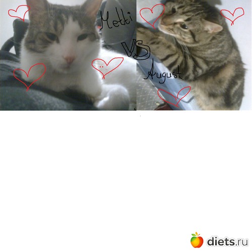 8 ����: ������ ����� �����������������