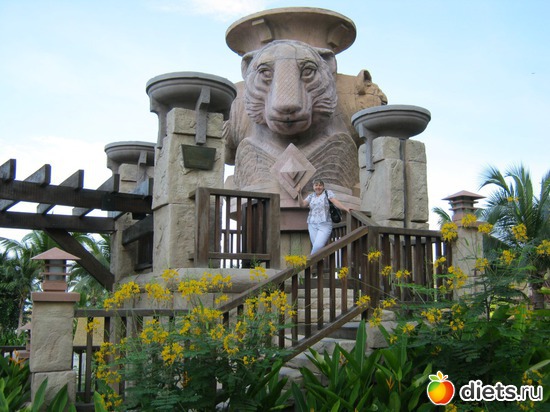 ���������� ����� � ������� Centara Grand Mirage, ������: ������� � �������