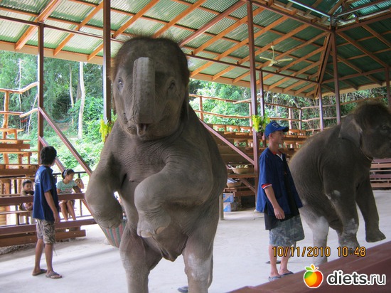 ��� ��������� ������!!!, ������: ������� � �������