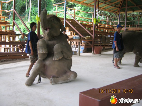 15 ����: ������� � �������