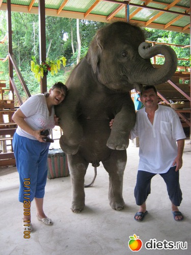 17 ����: ������� � �������