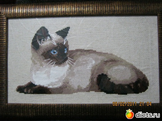 ��� �����, ������: ��� �������