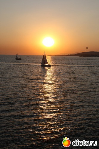 2 ����: summer'11