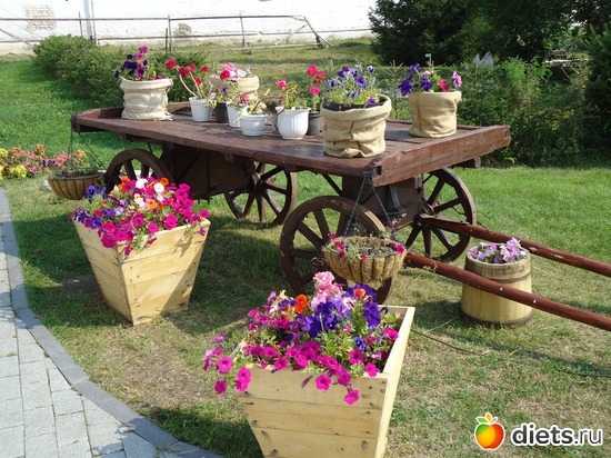 40 ����: � � ���������� ������