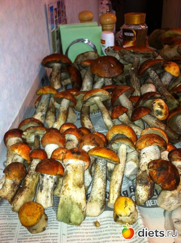 1 ����: ��������