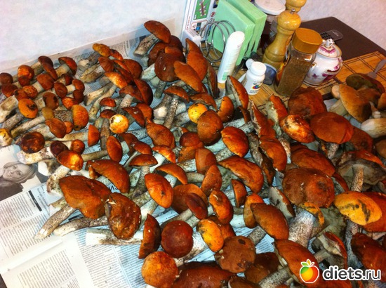 2 ����: ��������