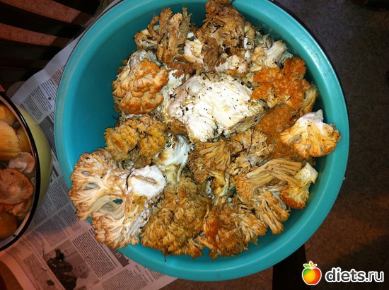 �������� ������ "��������", ������ ����", "�����", ������: ��������