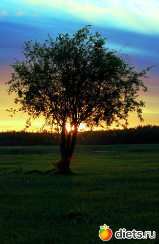 2 ����: ������� ������