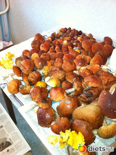 4 ����: ��������