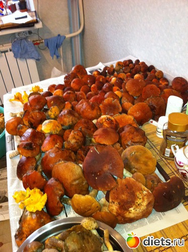 �����������, ������: ��������