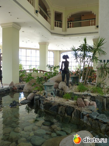 Обитательницы отеля - полые и прекрасные, альбом: Оазисы Шарм-эль-Шейха 2011