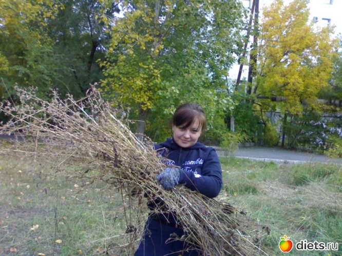 31 ����: ������ �!