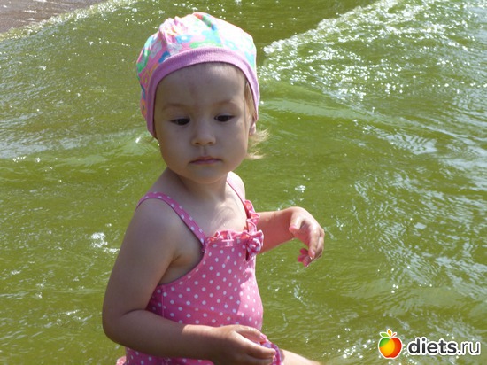 4 ����: ��� �������