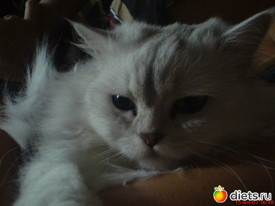 1 ����: �������