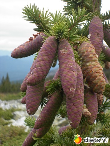 ��������� �����,�����!, ������: �� ������� ����,����� �Ĩ�� � ���� ��?