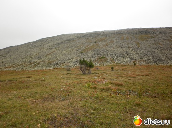 ������� �������..., ������: �� ������� ����,����� �Ĩ�� � ���� ��?