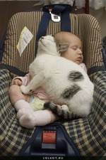 ТИХО... ОНИ СПЯТ