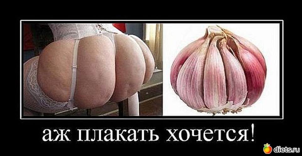 2 ����: Motivation